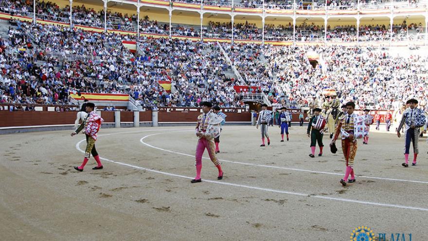 Novilleros en Las Ventas