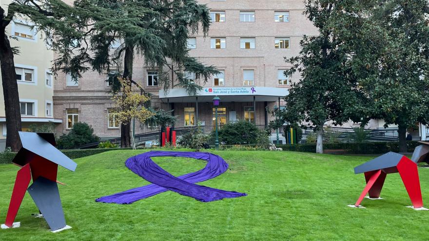 Lazo morado en el jardín del hospital