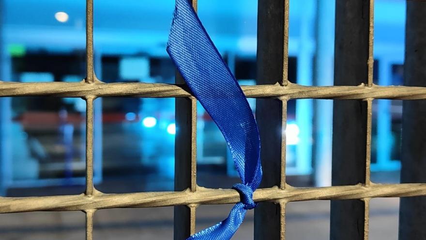 Monterrozas lazo azul autismo