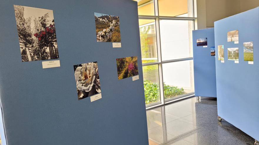 Exposición Fotográfica HUIL