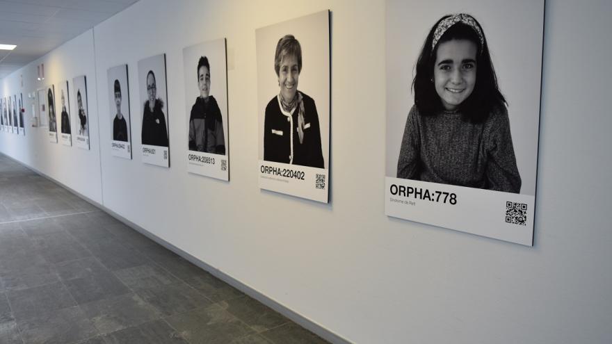 Galeria imágenes exposición