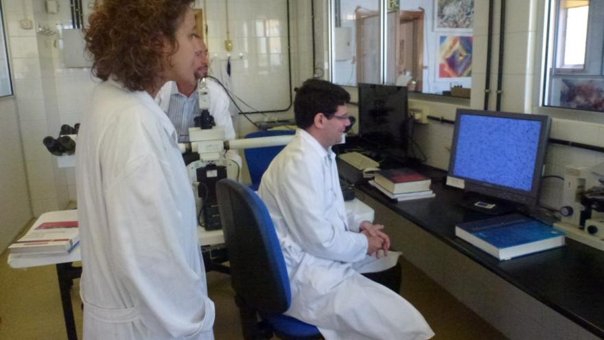 investigadores mirando células en ordenador
