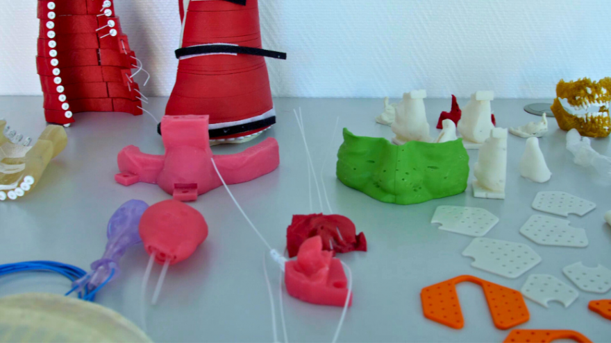 Distintos modelos 3D de órganos o partes del cuerpo colocados en una mesa