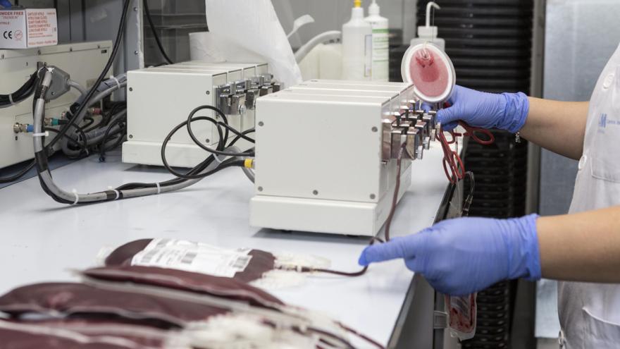 Procesamiento de la sangre