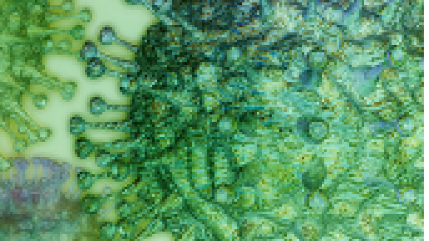 Virus 2019-nuevo-coronavirus