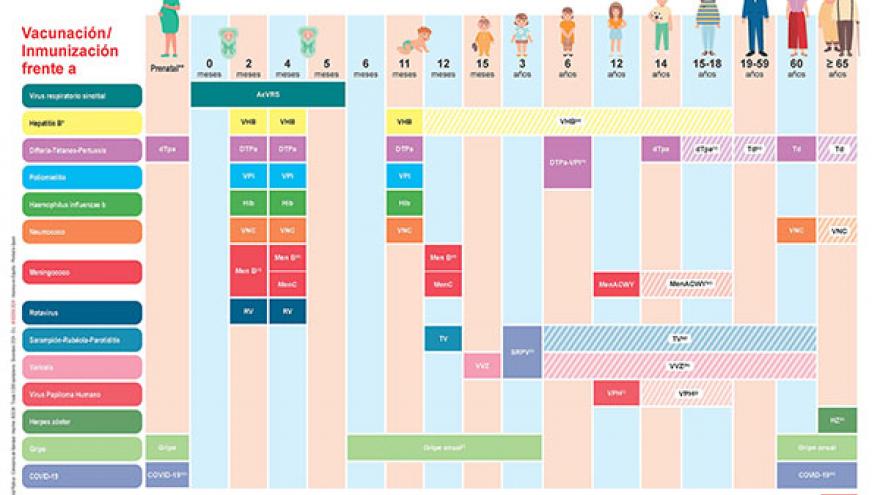 Calendario de vacunación para toda la vida Calendario con todas las vacunas que se deben de poner a lo largo de la vida