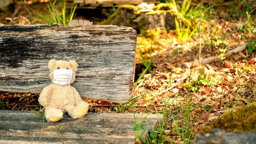 osito peluche con mascarilla sentado en un banco en la naturaleza