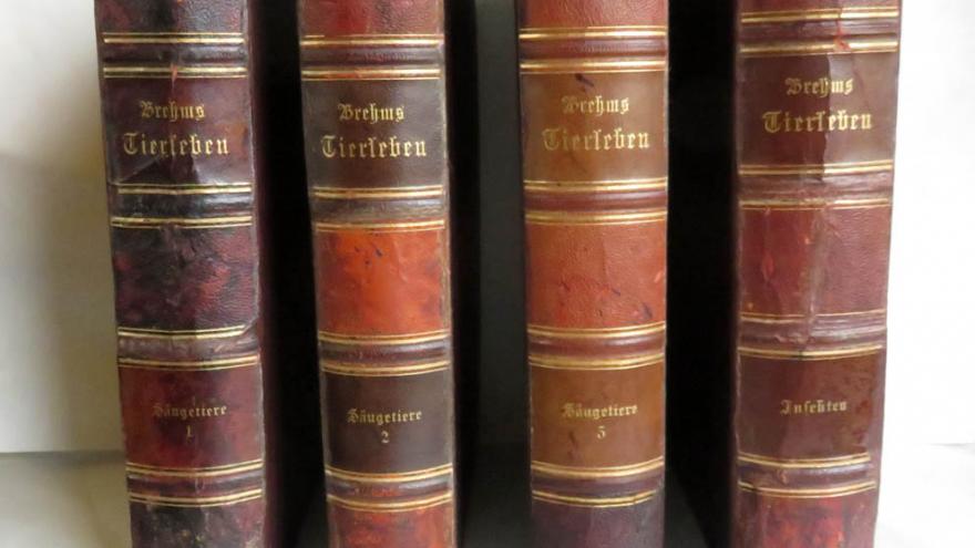 imagen de cubiertas de cuatro libros