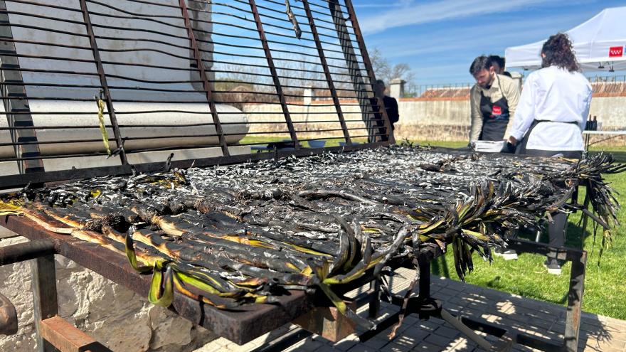 El viceconsejero García