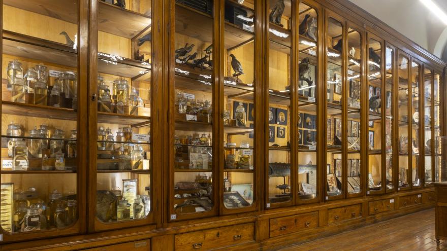 IES Cardenal Cisneros. Miguel Ángel Camón Gabinete del Instituto de Enseñanza Cardenal Cisneros