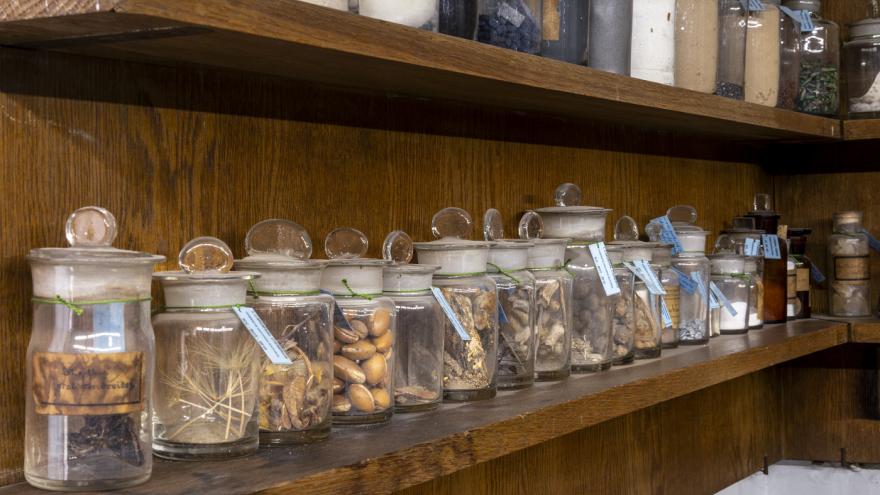 Semilleros y otras muestras del IES Cardenal Cisneros. Fotografía Miguel Ángel Camón imagen de frascos de laboratorio