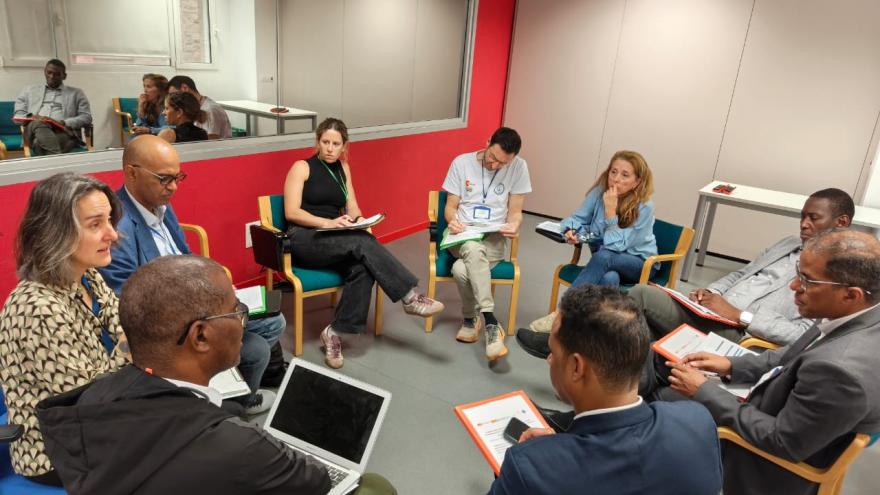 Simulación en IDEhA