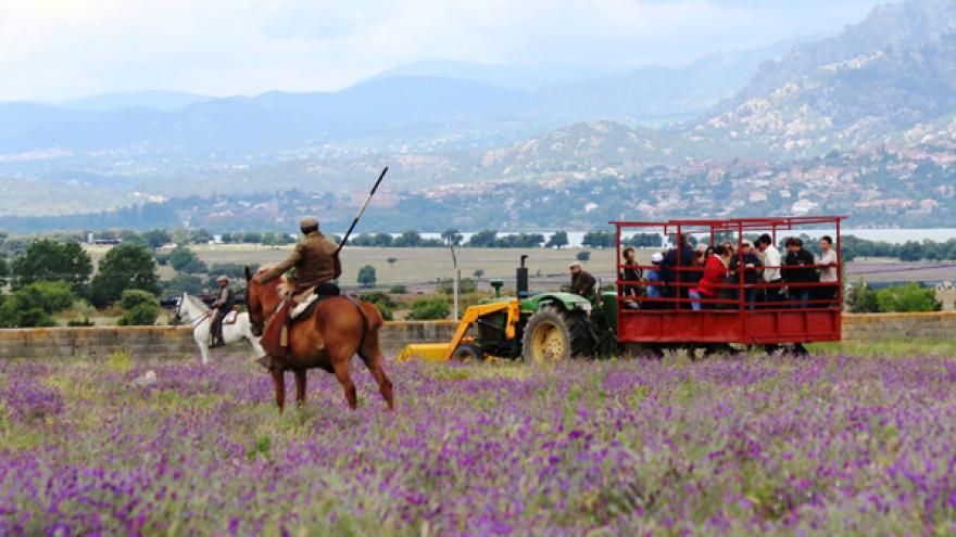 Imagen de Visita Guiada