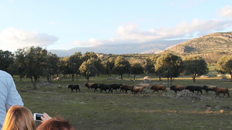 Visita Guiada finca