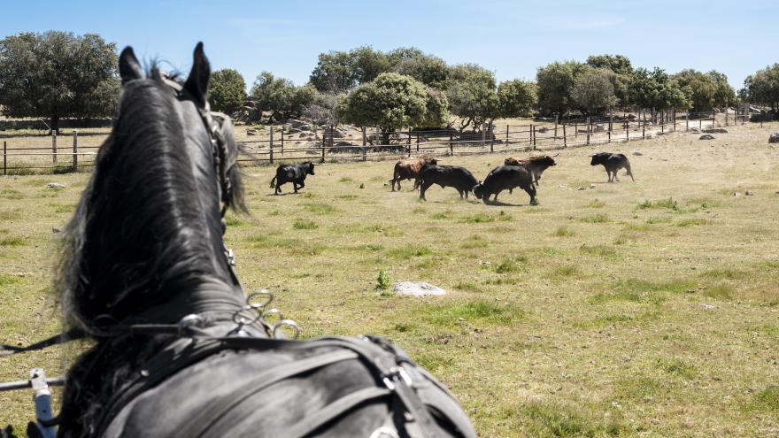 Visita finca