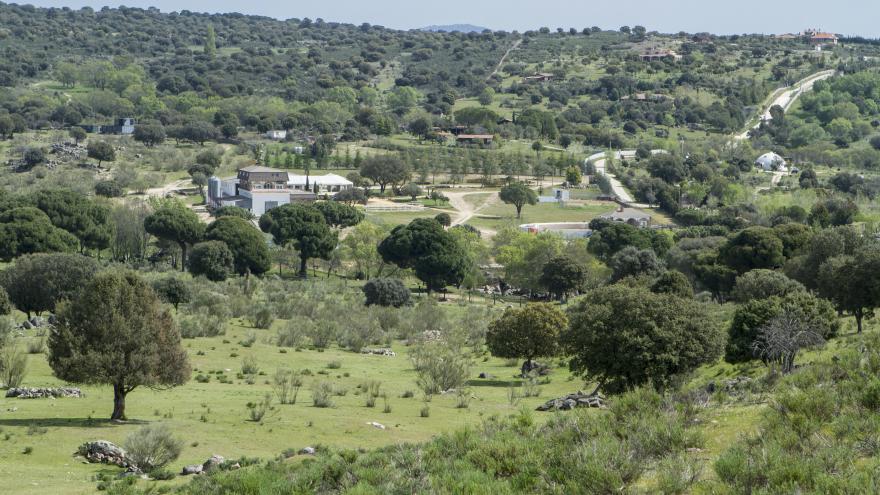 Finca