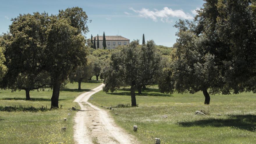 Finca camino