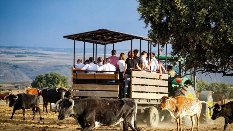 Visita finca