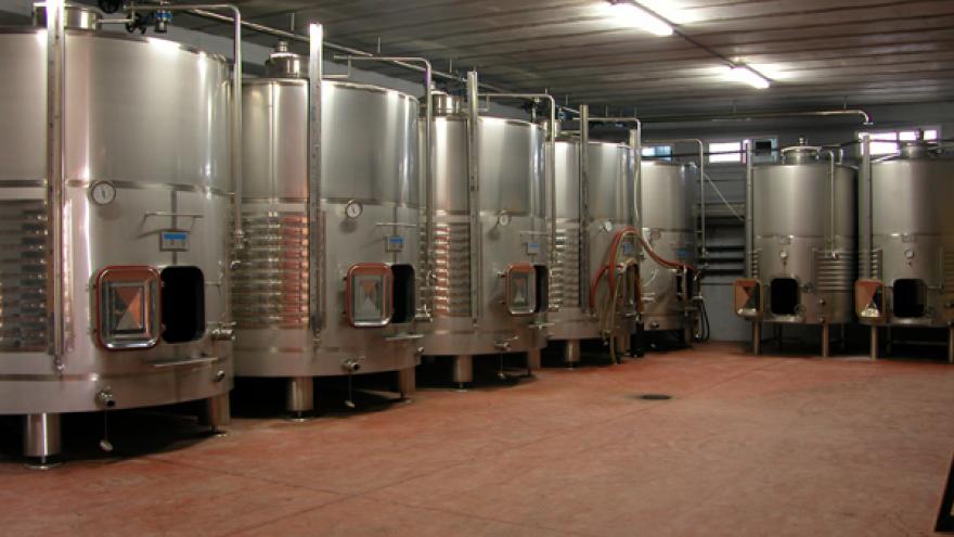 Tanques en bodega DOP Vinos de Madrid