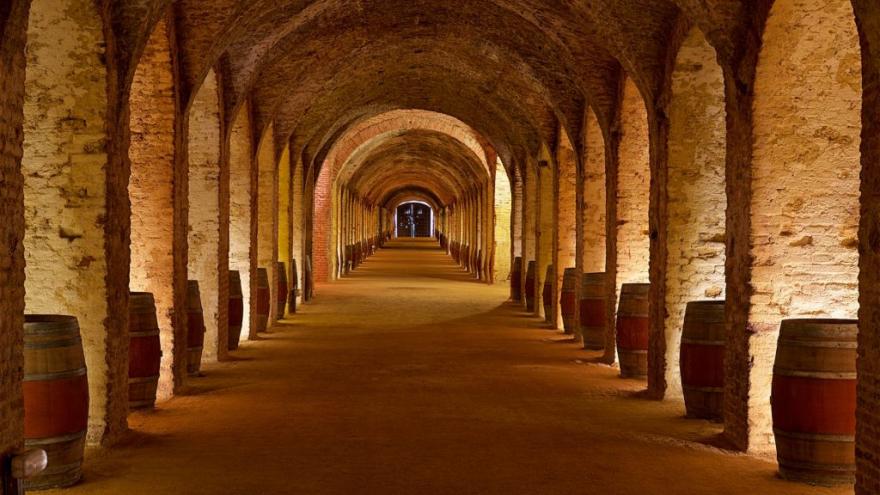 Una veintena de bodegas de la D.O. Vinos de Madrid participan en seis rutas de enoturismo impulsadas por la Comunidad de Madrid