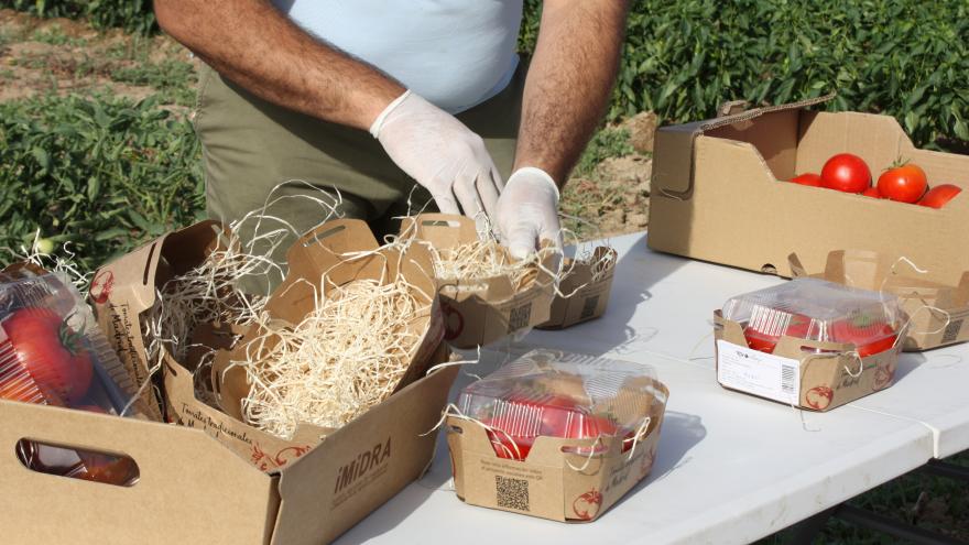 Tomates del IMIDRA