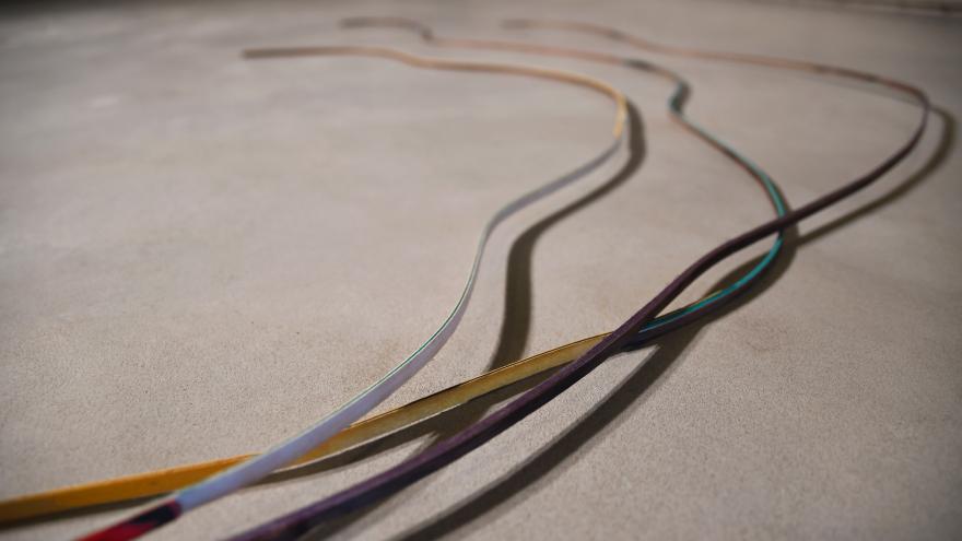 La Comunidad de Madrid presenta la exposición Raíces por defecto como muestra de apoyo al arte emergente Imagen de la exposición