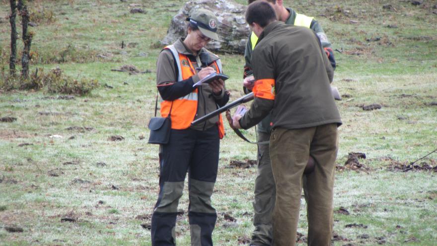 Control de caza menor por parte de agentes forestales