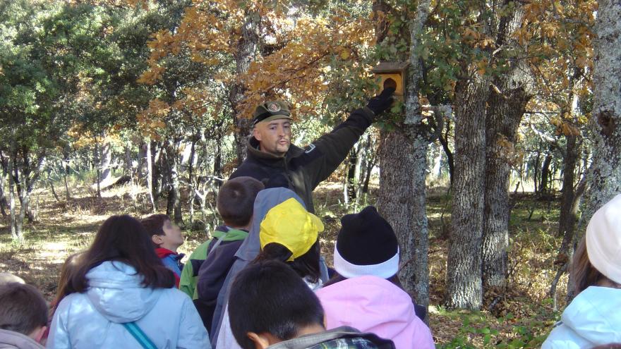 Agente Forestal muestra nidales a un grupo de niños.