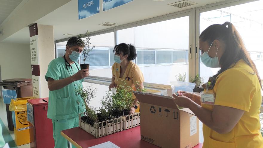 Un médico junto con dos gobernantas clasifica residuos