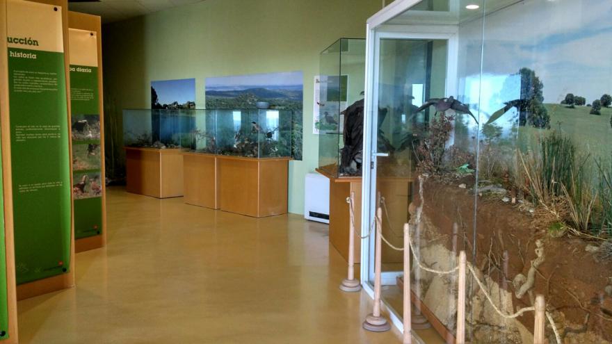 Vitrinas de la exposición con reproducciones de animales y carteles explicativos