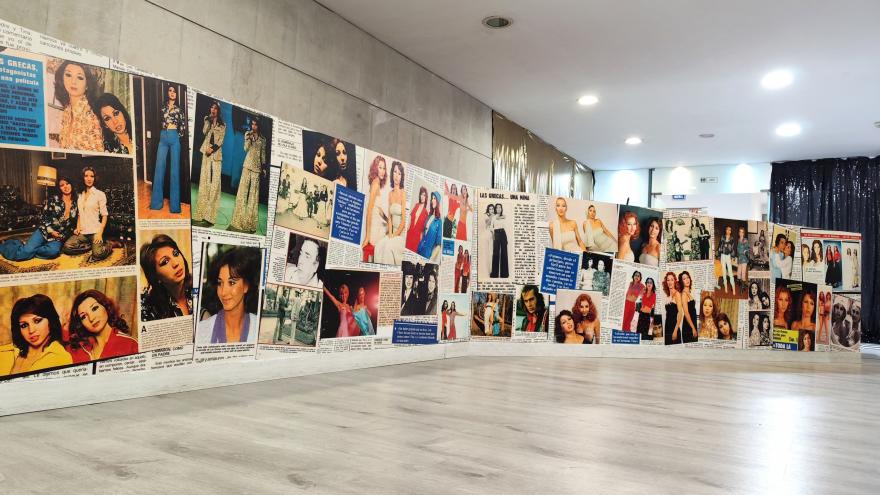 La Comunidad de Madrid celebra a ritmo de Las Grecas el Día del Flamenco en el Centro Cultural Pilar Miró Imagen del Día del Flamenco en el Centro Cultural Pilar Miró