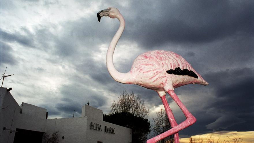 agenda cultural de la Comunidad de Madrid 