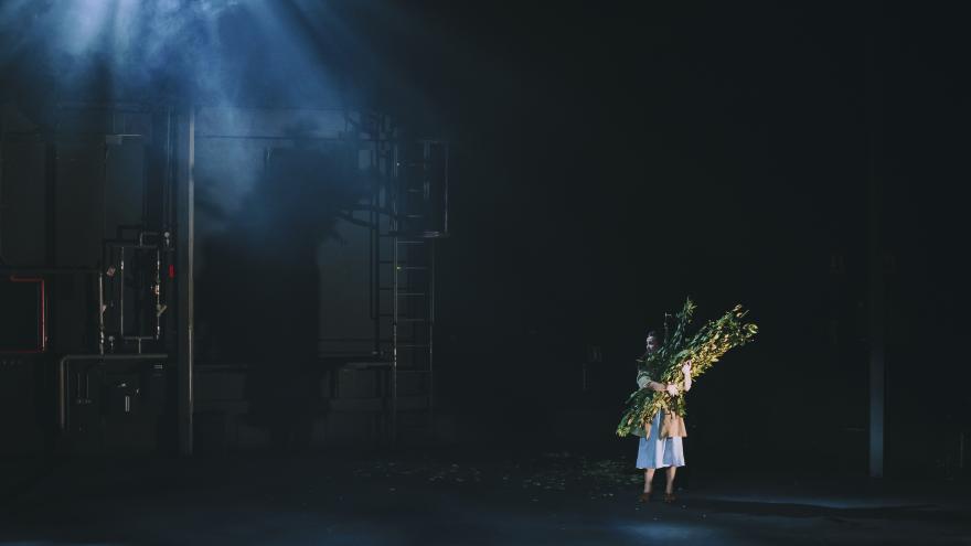 Escena del espectáculo