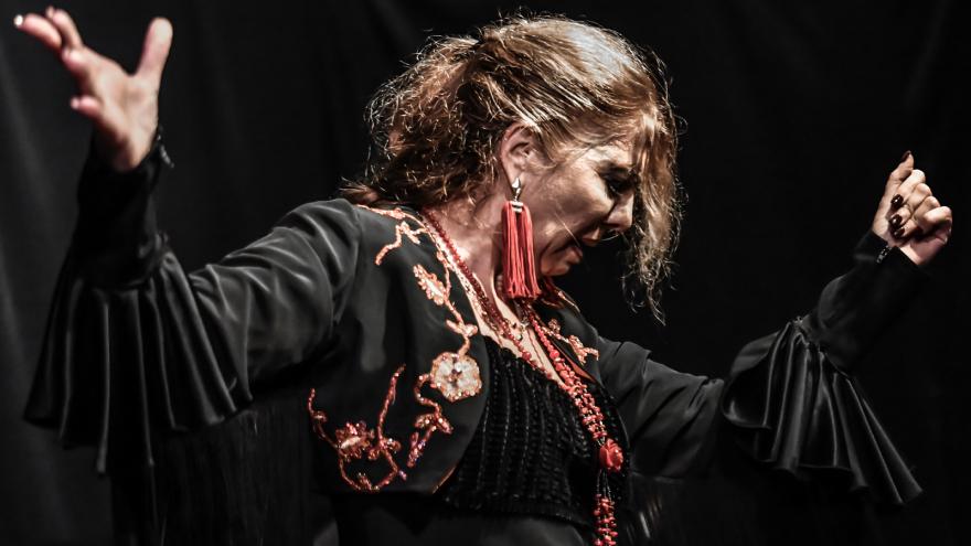 Festival Suma Flamenca 