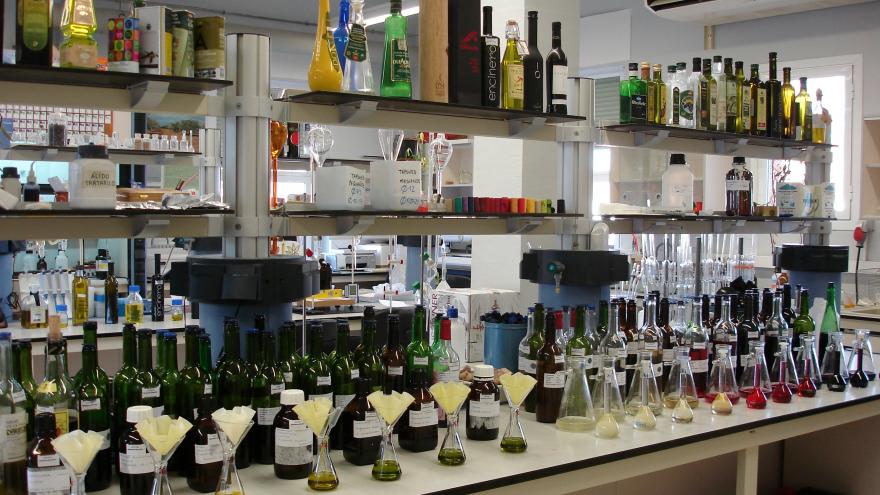 Imagen general del laboratorio agroalimentario