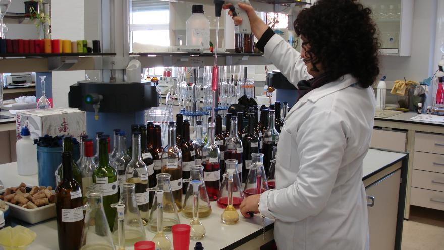 Personas analizando vinos en el laboratorio agroalimentario
