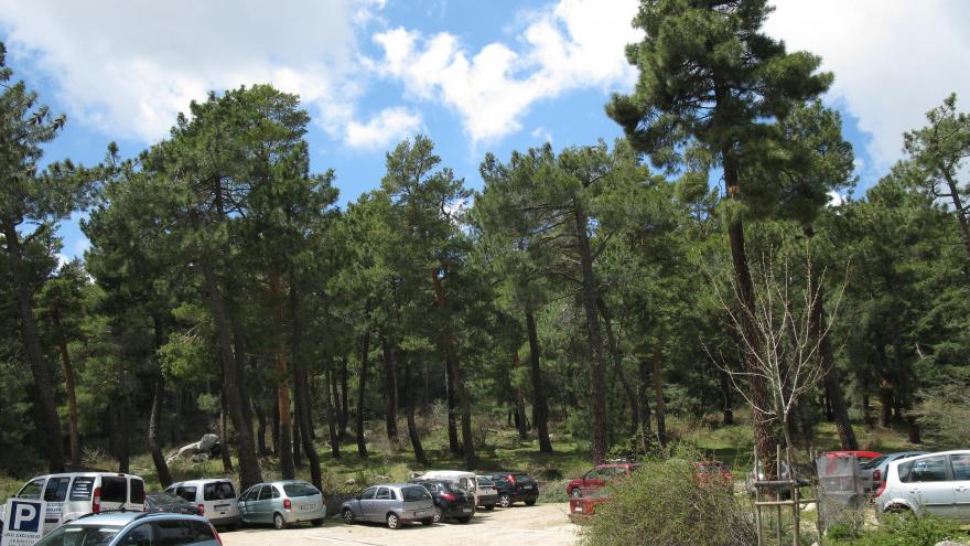 Aparcamiento del Centro Arboreto Luis Ceballos. Es necesario solicitar permiso para acceso de vehículo por la pista forestal.