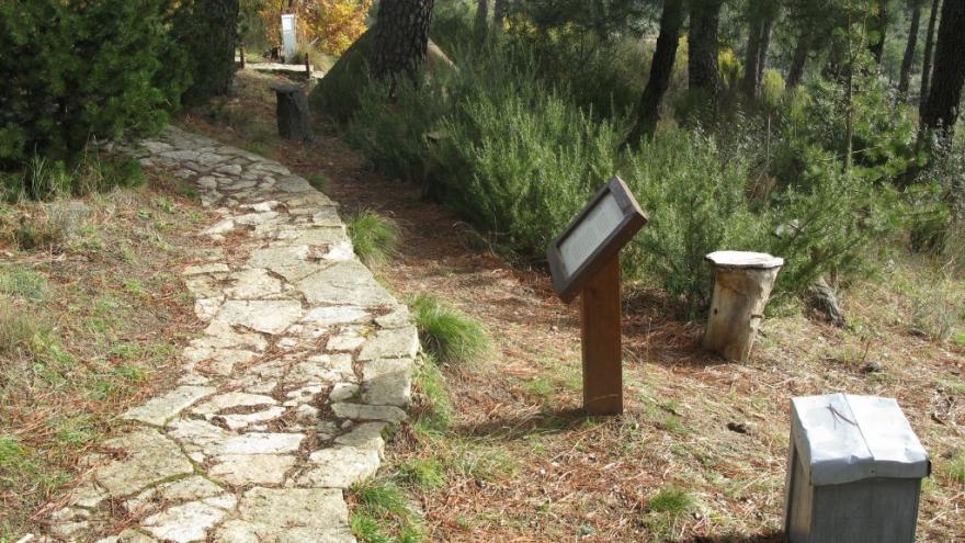 Enlosado de itinerario en el Centro de educación ambiental Arboreto Luis Ceballos