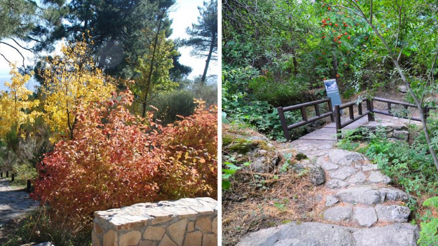 Pendiente de alguno de los itinerarios del Centro de educación ambiental Arboreto Luis Ceballos