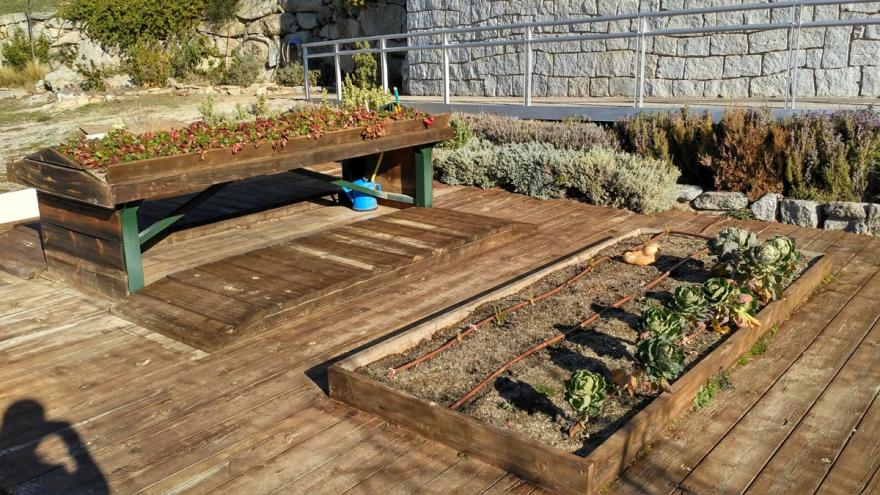 Mesa alta de cultivo y bancal, ambos de madera con plantaciones y suelo de también de madera