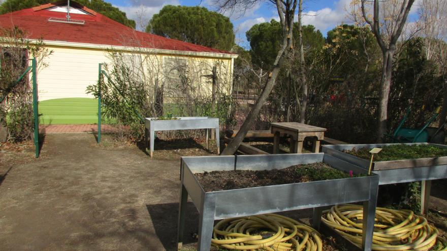 Huerto didáctico / ecológico en el Centro de educación ambiental Polvoranca