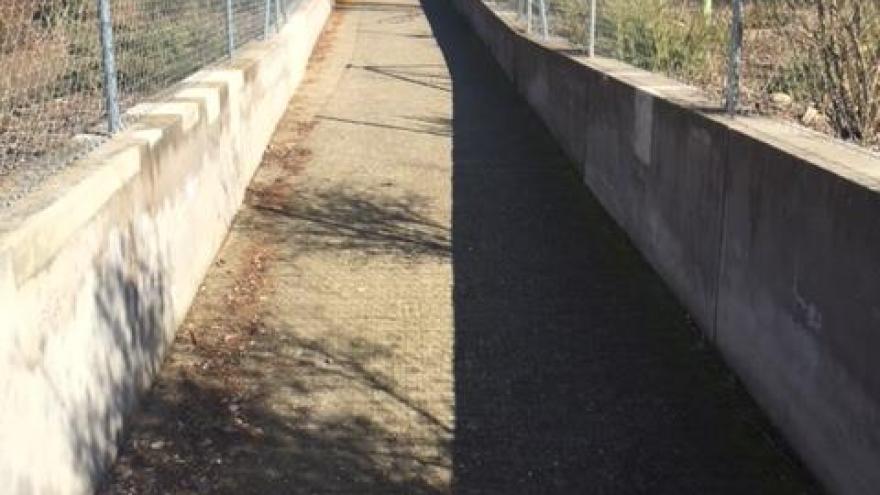 Rampa de acceso al Centro de educación ambiental El Campillo