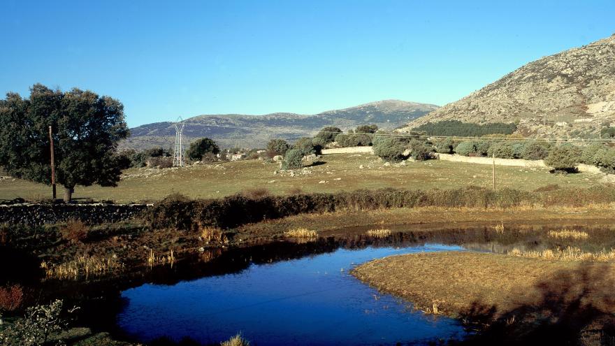 Humedales_Laguna de Castrejón_El Escorial