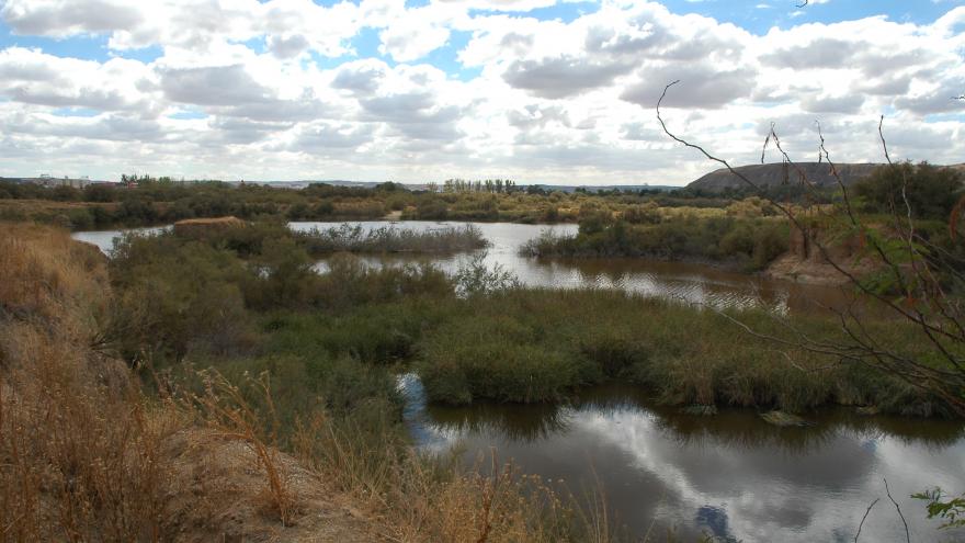 Humedales_Lagunas de Velilla_Velilla de San Antonio