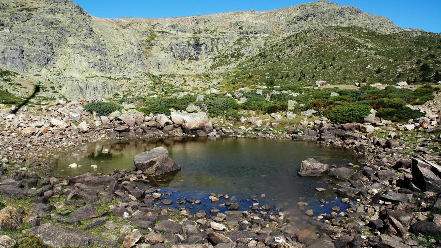 Humedales_Macizo de Peñalara. Laguna Chica_Rascafría