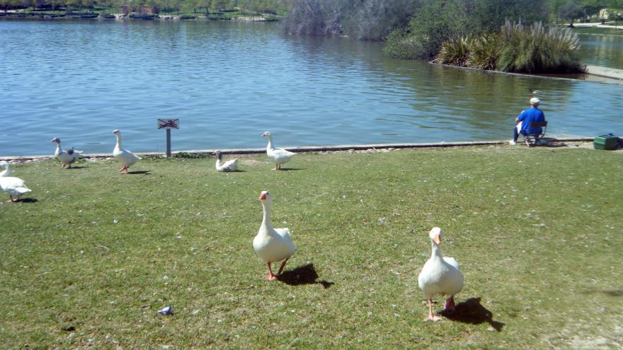 Parque Forestal Polvoranca. Leganés