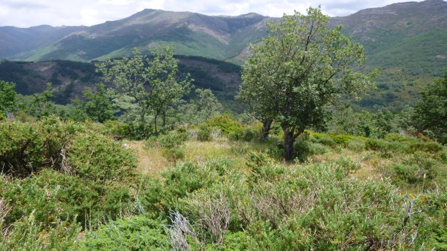 Reserva de la Biosfera Sierra del Rincón. Paisaje