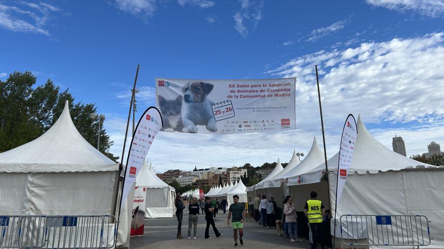 XX Salón para la Adopción de Animales de Compañía carpas del salón