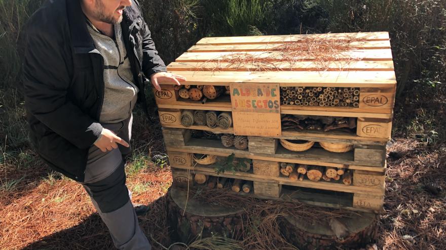 Educación Ambiental 