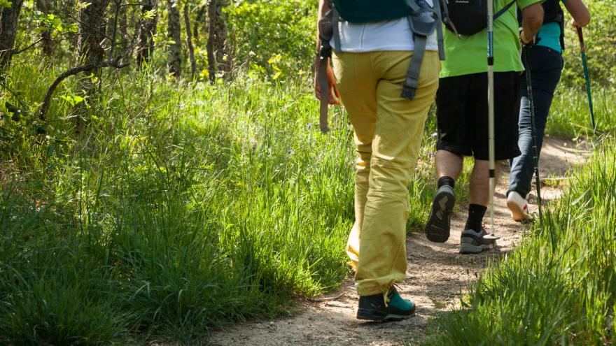 Desarrollamos un proyecto pionero para disminuir la huella de carbono en la Sierra de Guadarrama